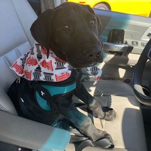 Meet your Posher, Laura